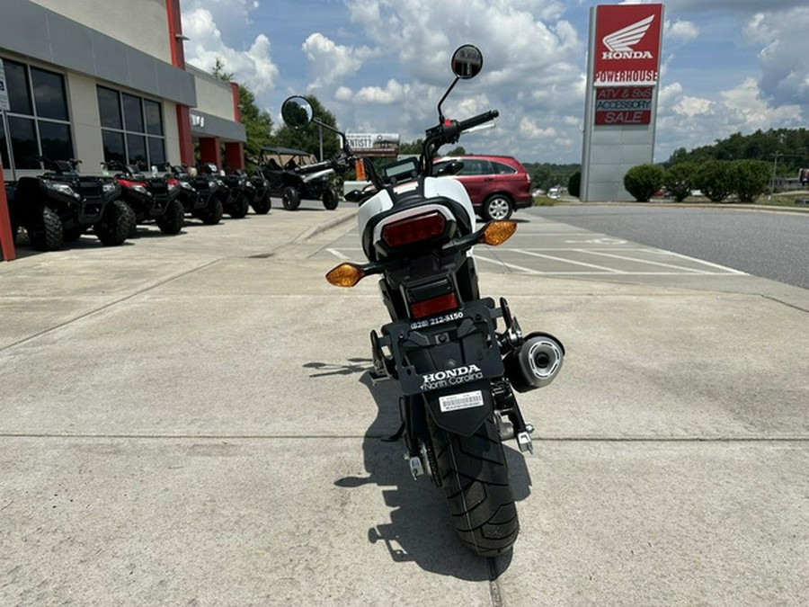 2025 Honda Grom