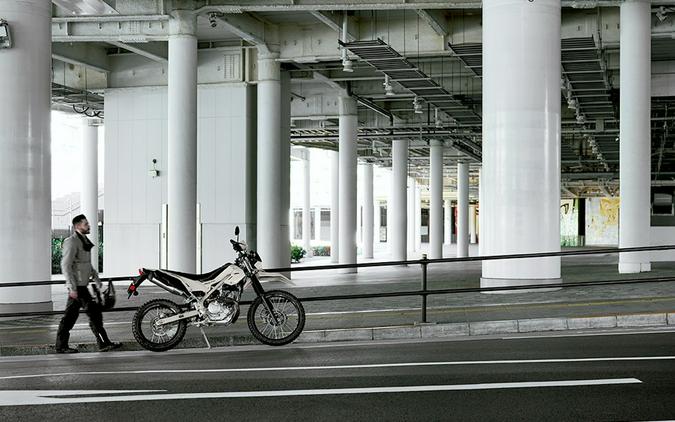 2026 Kawasaki KLX 230 SHERPA S ABS Whitish Beige - 108897