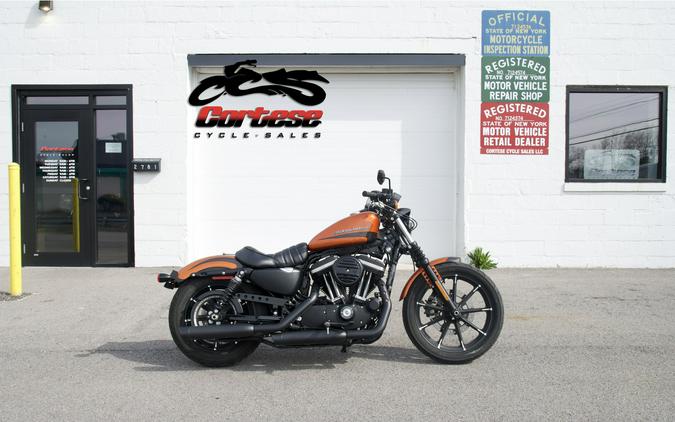 2020 Harley-Davidson® XL883N - Iron 883 Sportster