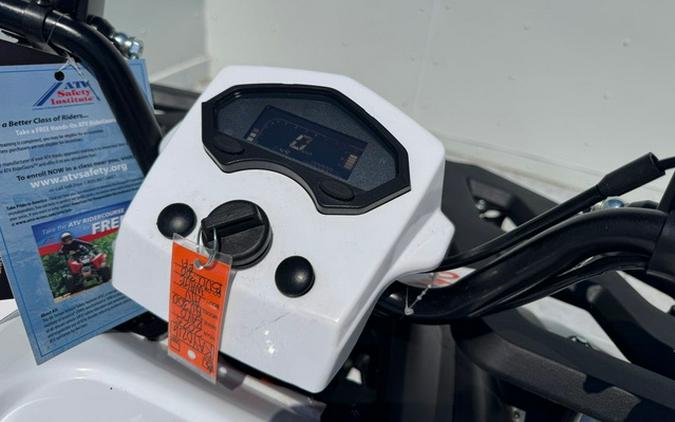 2025 Kayo Bull 300 EFI