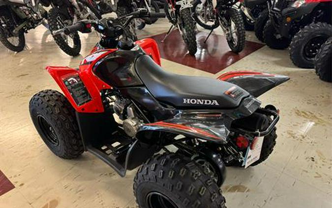 2024 Honda TRX90X