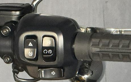 2025 Harley-Davidson Breakout FXBR CENTERLINE