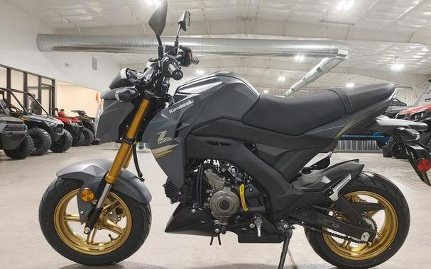 2024 Kawasaki Z125 PRO