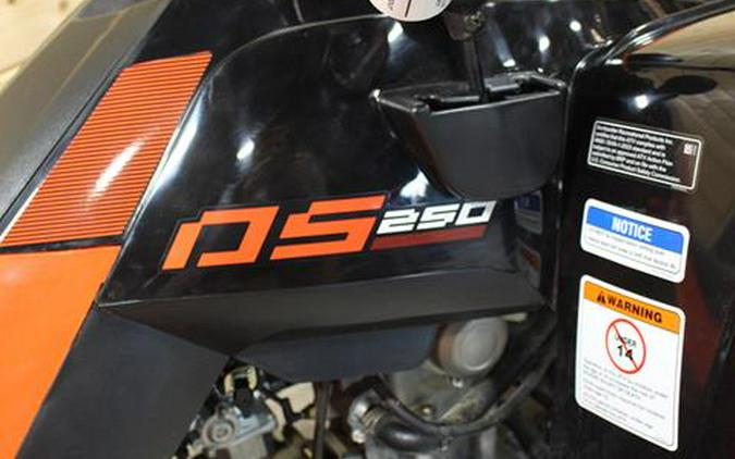 2025 Can-Am DS 250