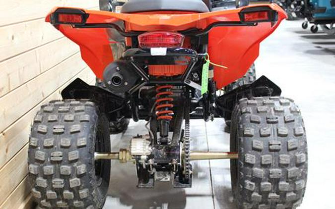 2025 Can-Am DS 250
