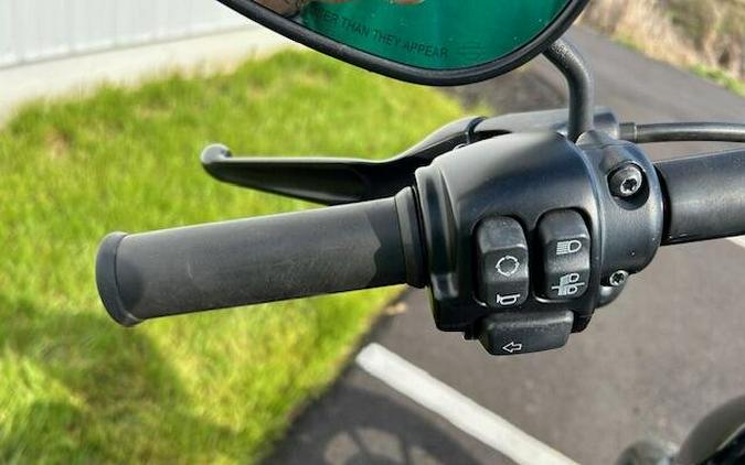 2020 Harley-Davidson XL1200NS / Iron 1200