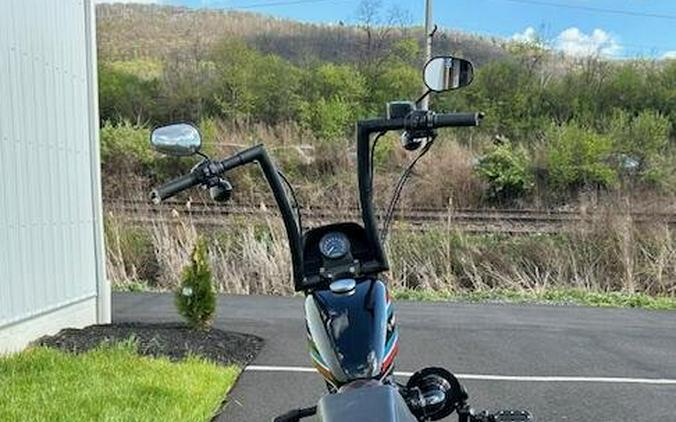 2020 Harley-Davidson XL1200NS / Iron 1200