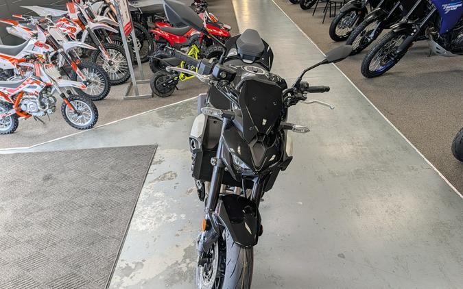2025 Kawasaki Z900 ABS