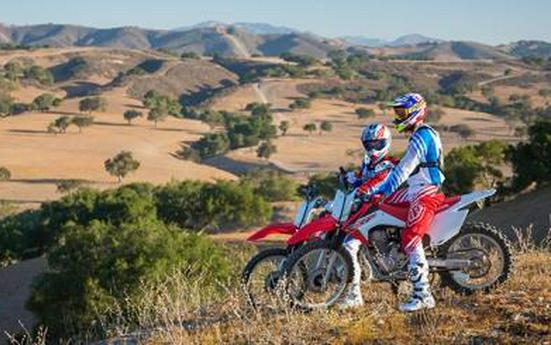 2017 Honda CRF230F