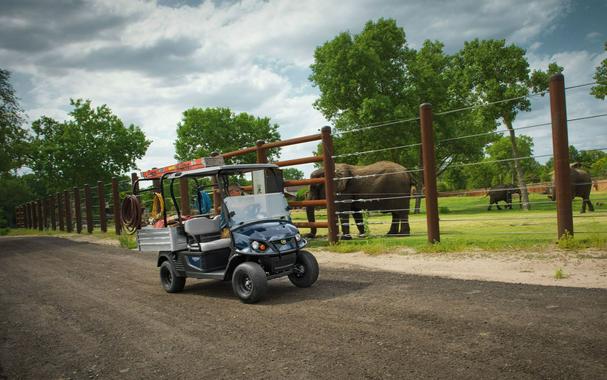 2027 Cushman Hauler 1200 EFI Gas