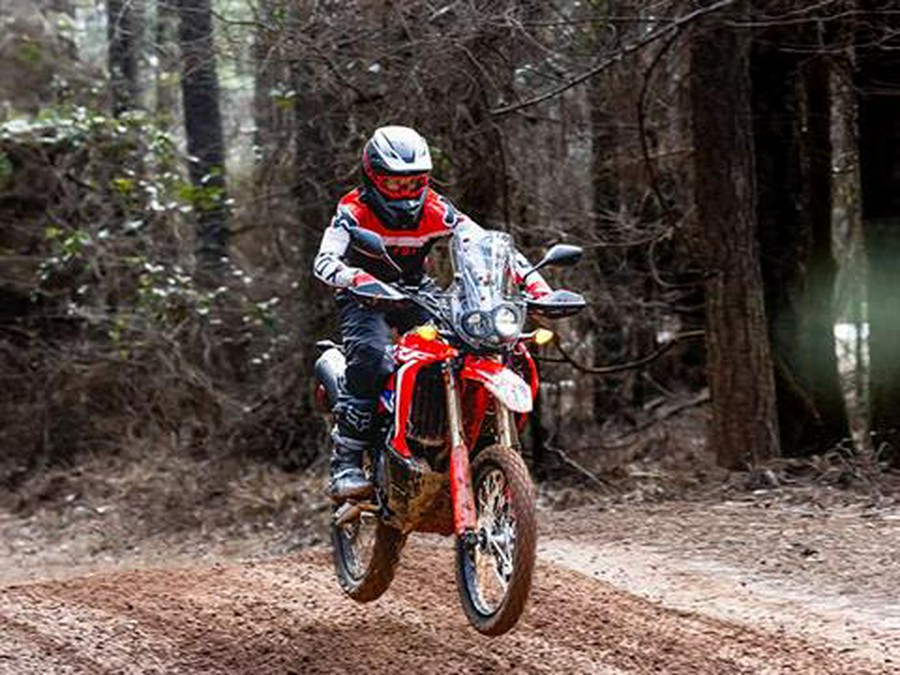 2023 Honda CRF300L Rally