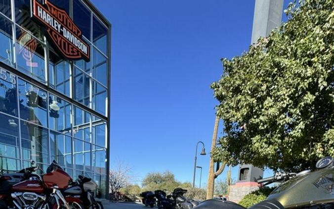 2017 Harley-Davidson® XL883N - Iron 883™