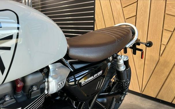 2024 Triumph Scrambler 1200 X Ash Grey