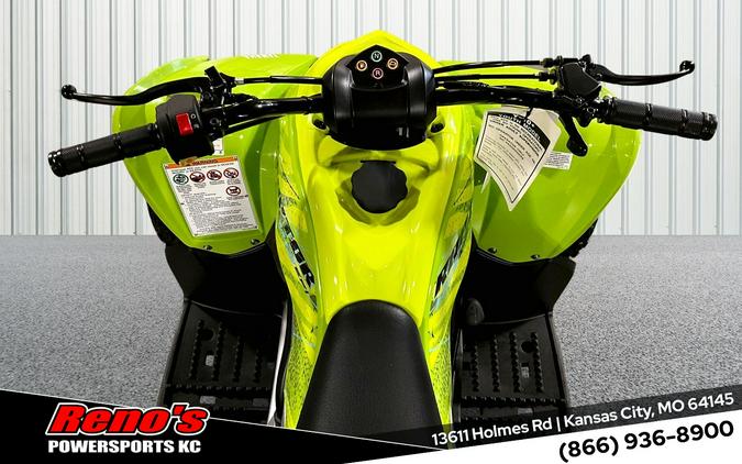 2026 Yamaha Raptor 110