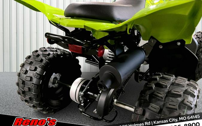 2026 Yamaha Raptor 110