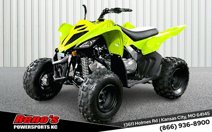 2026 Yamaha Raptor 110