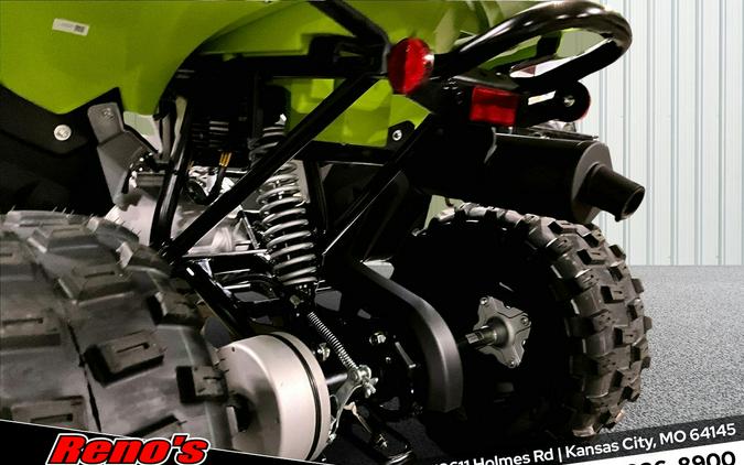 2026 Yamaha Raptor 110
