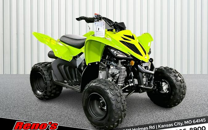 2026 Yamaha Raptor 110