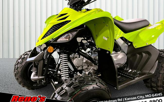 2026 Yamaha Raptor 110