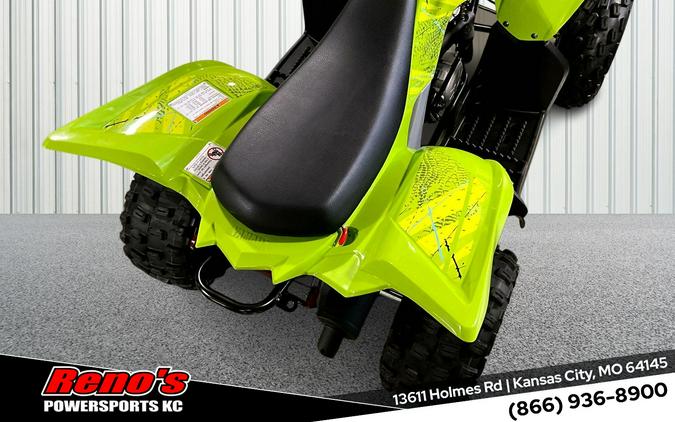 2026 Yamaha Raptor 110