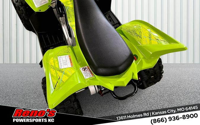 2026 Yamaha Raptor 110