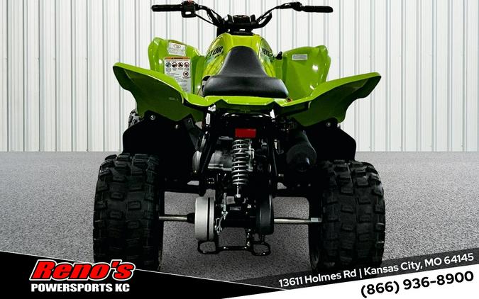 2026 Yamaha Raptor 110
