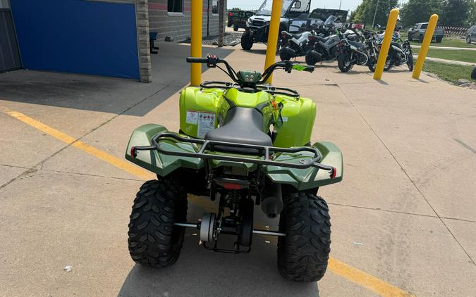 2026 Yamaha Grizzly 110