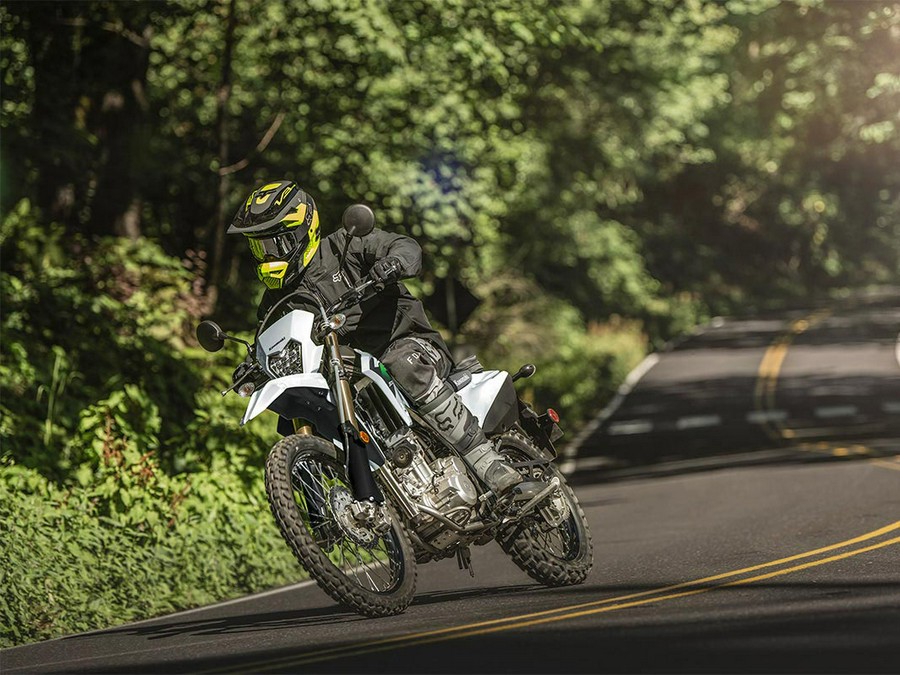 2026 Kawasaki KLX 300