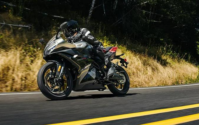 2025 CFMOTO 300SS