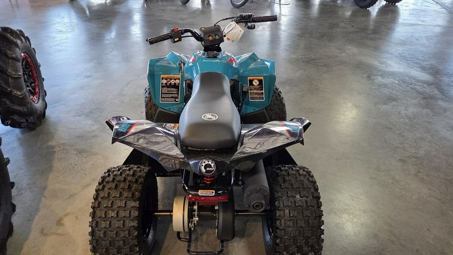 2026 Can-Am® Renegade 70 EFI