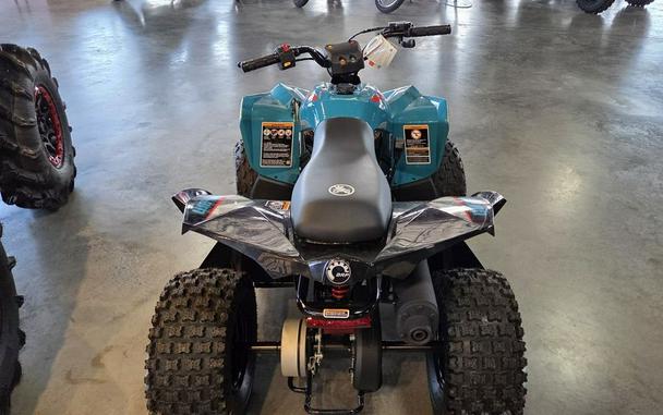 2026 Can-Am® Renegade 70 EFI