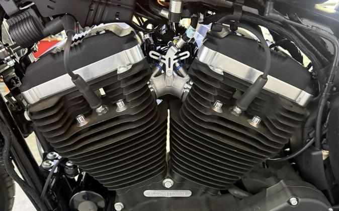 2022 Harley-Davidson® XL883N - Iron 883™