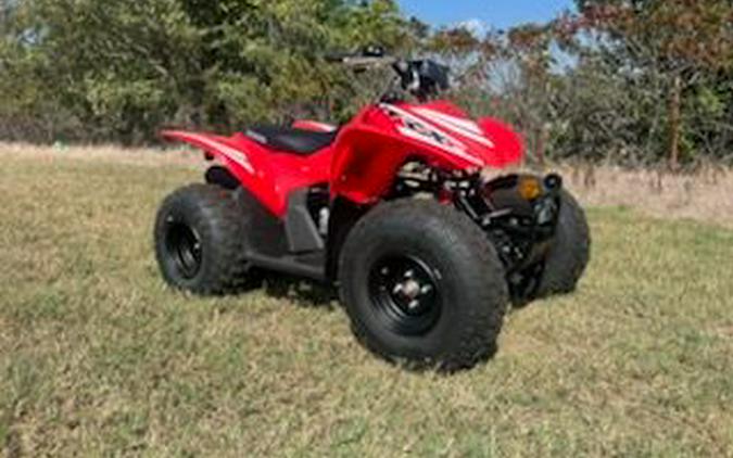 2025 Honda TRX90X