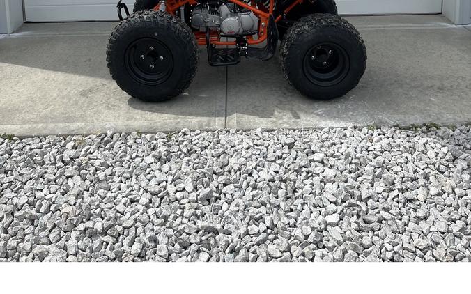 2026 Bull 150 EFI - Kayo