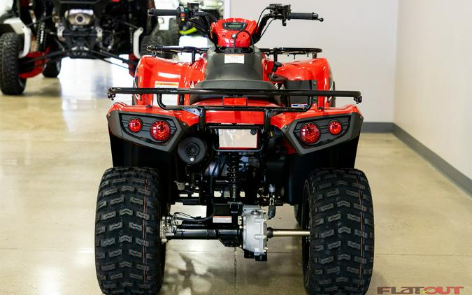 2024 Kawasaki BRUTE FORCE 300 2X4