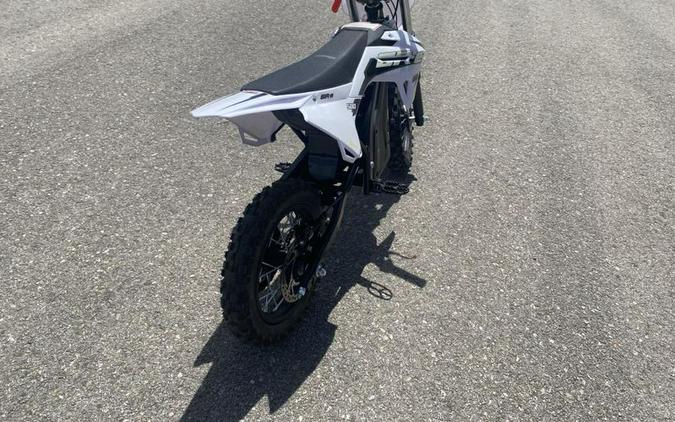 New 2025 SSR MOTORSPORTS SR E500