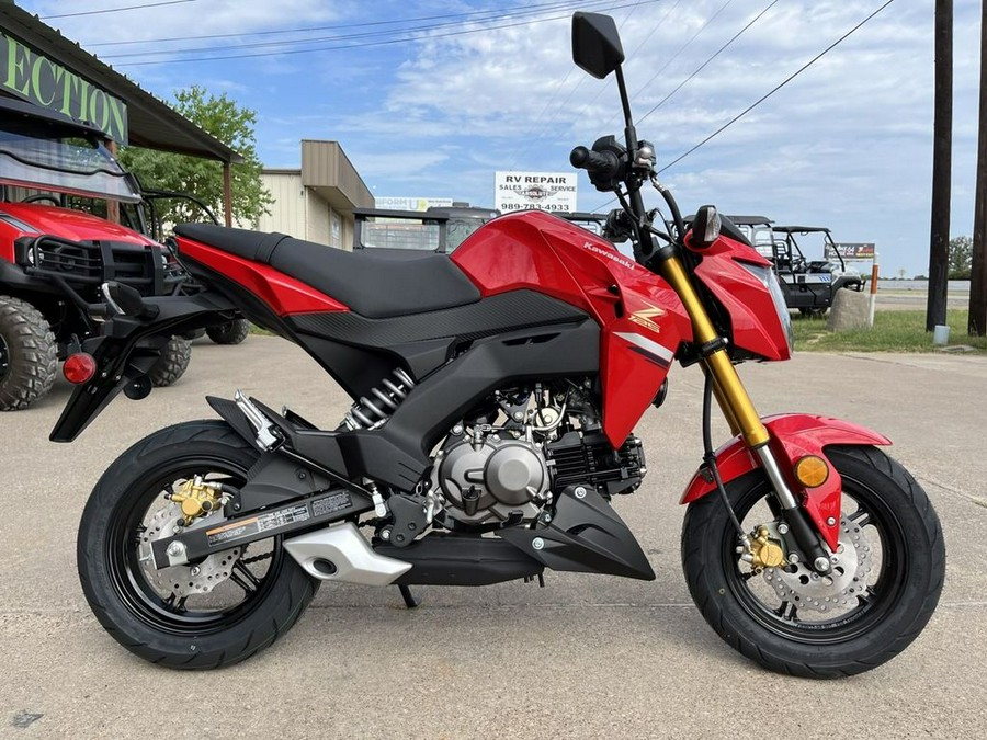 2023 Kawasaki Z125 PRO