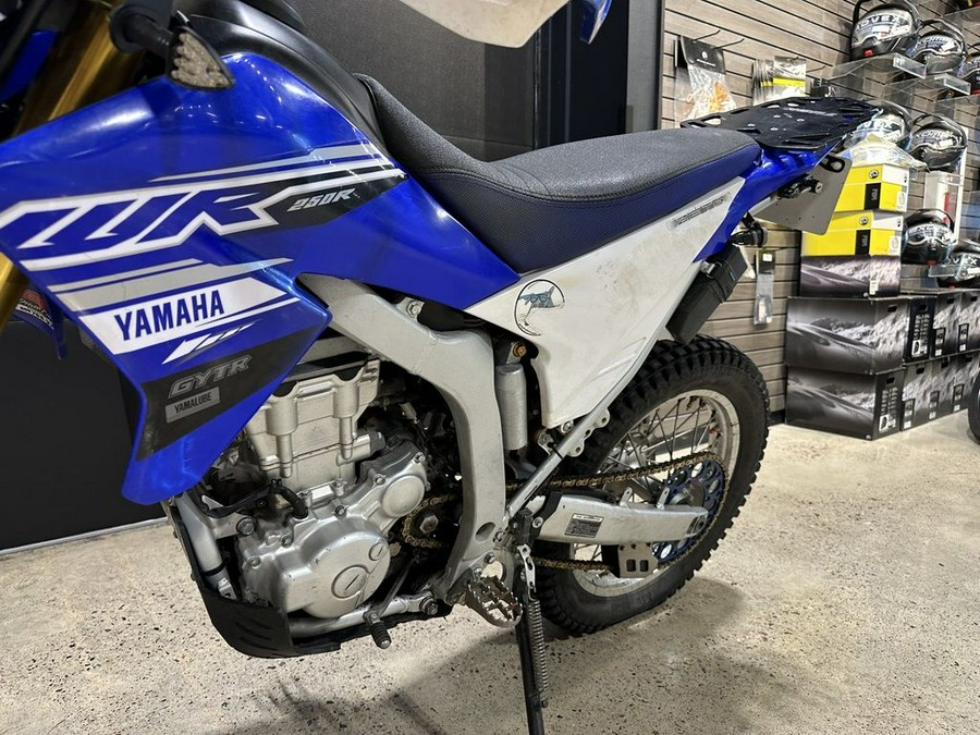 2019 Yamaha WR250R