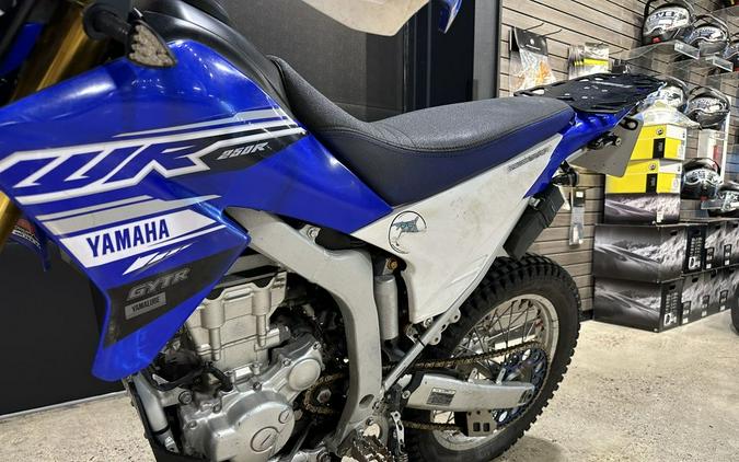 2019 Yamaha WR250R