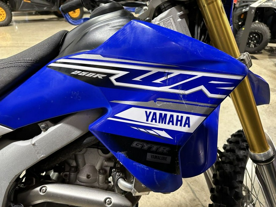 2019 Yamaha WR250R