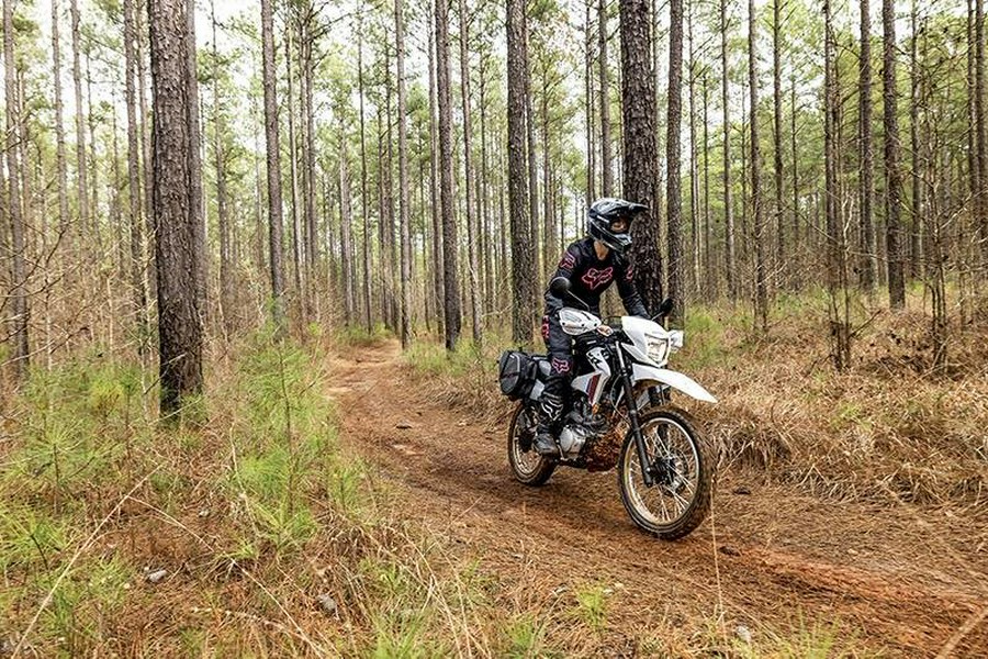 2025 Honda XR150L