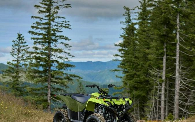 2026 Yamaha Grizzly 110