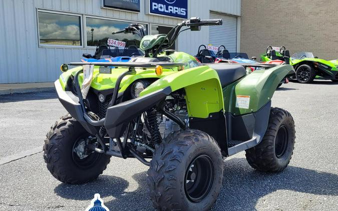 2026 Yamaha Grizzly 110