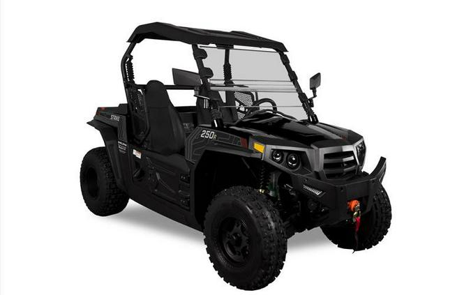 2024 STRIKE 250 - Hisun