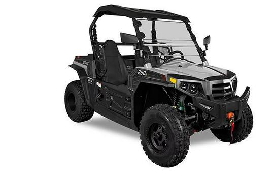 2024 STRIKE 250 - Hisun