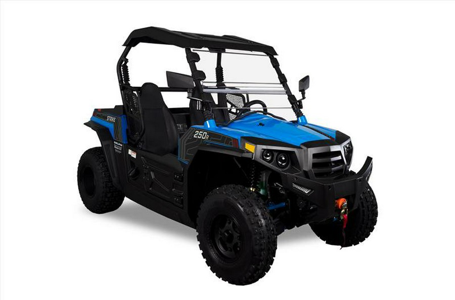 2024 STRIKE 250 - Hisun