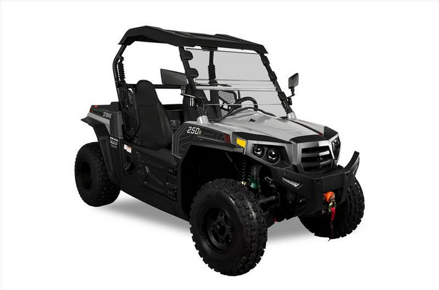 2024 STRIKE 250 - Hisun