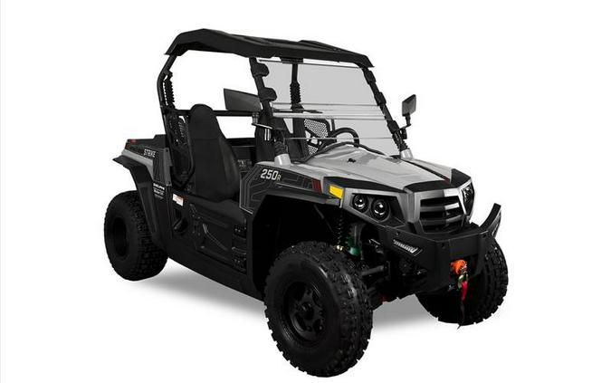 2024 STRIKE 250 - Hisun