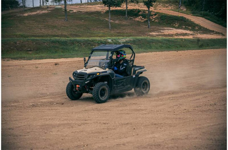 2024 STRIKE 250 - Hisun