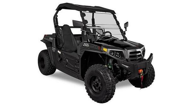 2024 STRIKE 250 - Hisun